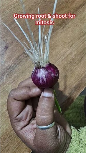 #science #cbse12thbiology #spotting #importantquestions