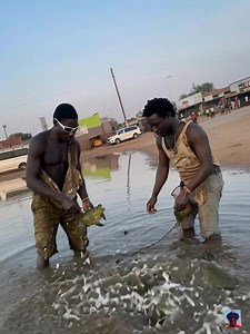 #Chipinge #Checheche #Chisumbanje majese opera ndana Chaaba na Dudukwe ma #Checheche #viralsreelsシ #reelsfypシ #fblifestyle | Nedson Sengwana Dhliwayo