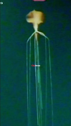 Terrifying Giant Squid Caught on Oil Rig Camera