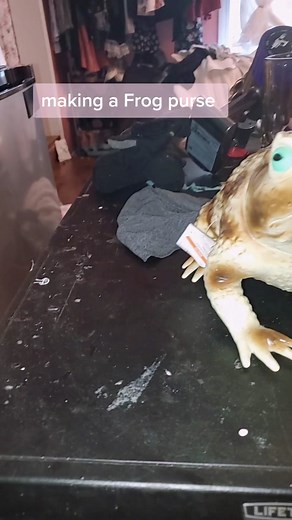 Frog purse #frog #frogs #frogpurse #diy #oddities #weirdfashion #weirdpurse #weirdcrafts #weird #cute #craft #art #fun #halloween #funcraft #fundiy