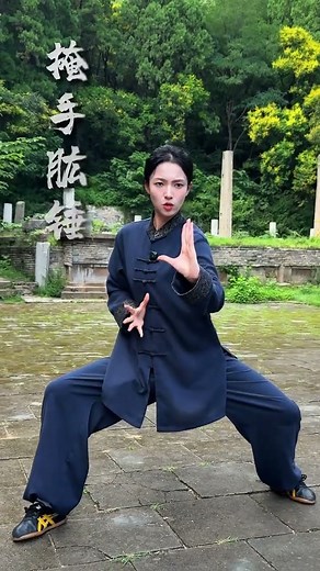 一套简单的太极拳，快跟我学起来吧 #太极 #弘扬中华武术 #武术 #太极拳教学