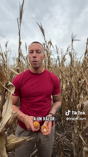En el campo no todos venden igual. Está el que se sienta a negociar y quiere vender 🤝 El que es flexible, pero tiene sus condiciones ⚖️ Y el que quiere ponerle precio al mercado 📌 ¿Cuál te parece que termina vendiendo mejor? #ventas #vendedor #clientes #viraltiktok