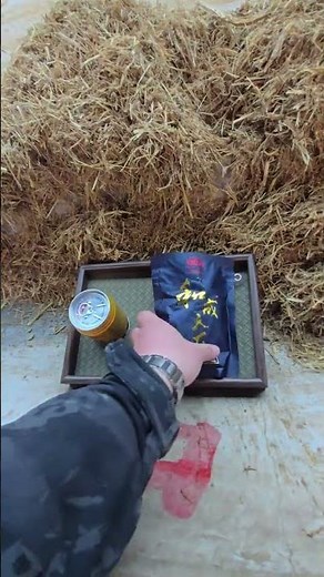 Master Cattle Breeding: Essential Tips for Beginners