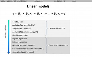 线性模型 linear models