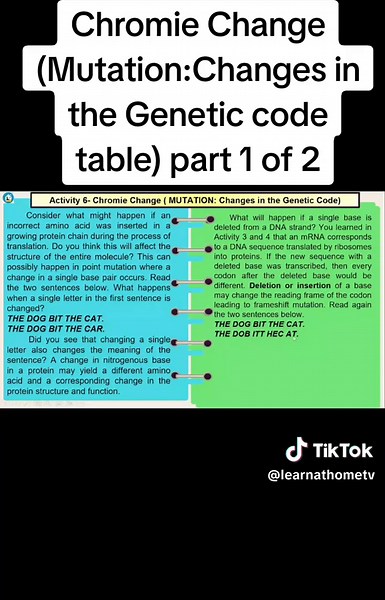 Exploring Chromie Change: Understanding Genetic Mutation