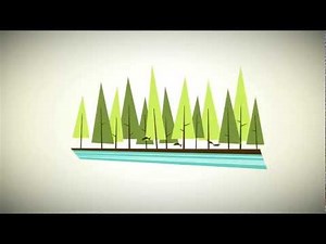 Recovery Boiler: Demystifying the Recovery Process