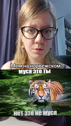 Musya Memes Explained: Is It Really You?