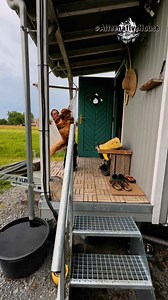 79K views · 1.1K reactions | Her beautiful DIY Tiny house tour. Watch more on my Yutube Channel | Alternativehouse | Facebook