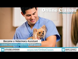 WCPSS Online Classes - Become a Veterinary Assistant