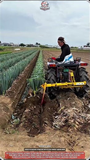 Harvester Machine Uprooting 500 kg Leeks During Farming Work