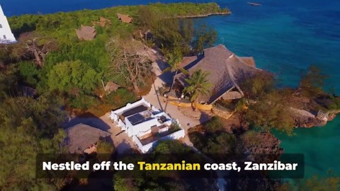 Discover the Charm and Culture of Zanzibar Tanzania
