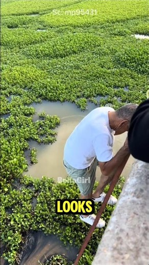 #grandparents 🥰🥰❤️❤️😍😍🤩🤩