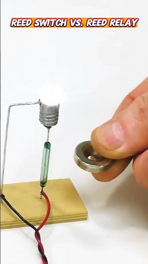 Reed Switch vs. Reed Relay | Magnetic Controlled Switch #reedswitch #magneticswitch #reedrelay
