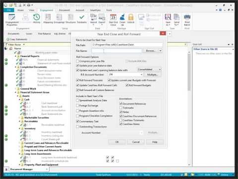Year End Close and Roll Forward