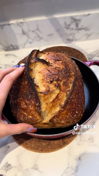 Perfection does exit 🤩 Crust ASMR - 25 minutes dome on max temp, 20 minutes dome off at 210 #sourdough #sourdoughbreadbaking #breadtok #foodasmr
