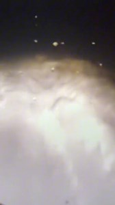 99K views · 1.1K reactions | Sasquatch recorded crossing a road. | Cryptid University | Facebook