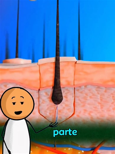 Interesting Facts About the USA You Didn't Know