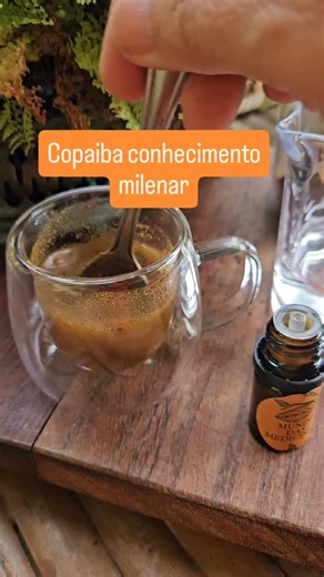 Elisabete Coimbra on Instagram: "COPAIBA e o conhecimento milenar! A Copaíba é extraída do tronco da árvore do gênero Copaifera. Diferente de um óleo essencial comum, o que se obtém é um óleo-resina,um bálsamo natural que a própria árvore produz como mecanismo de defesa e regeneração. Os povos originários aprenderam a coletá-lo sem derrubar a árvore, em um manejo respeitoso e sustentável ,um conhecimento transmitido por gerações. Aplicada topicamente, ingerida em gotas (em contextos tradicionais