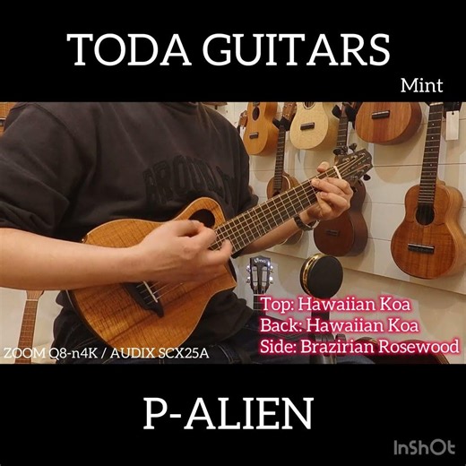 TODA GUITARS P-ALIEN
