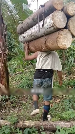 This Is the Lightest Wood on Earth 😱