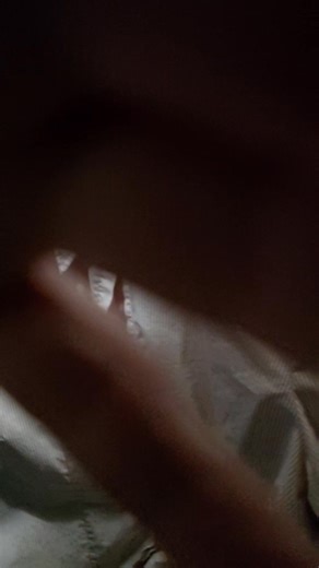 As it happens, I was putting something away in my closet and picked up a box to stack on top of another one, and out Jumps Banjo! | Cat Rescue, Inc.