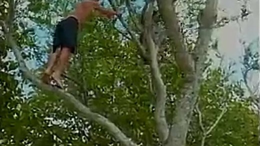 Iki Haole: Nico's Hawaiian Adventure(1995) — Видео от Max-Oliver Max