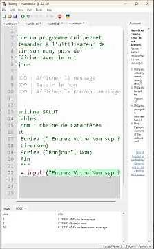 Exemple Simple de saisie et d'affichage d'une variable #algorithme #python