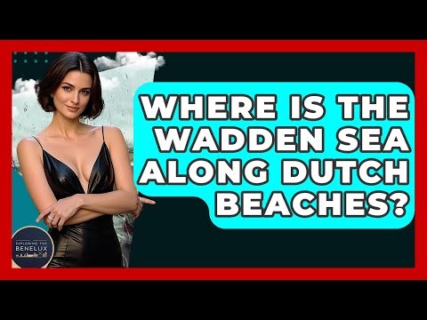 Where Is The Wadden Sea Along Dutch Beaches? - Exploring The Benelux