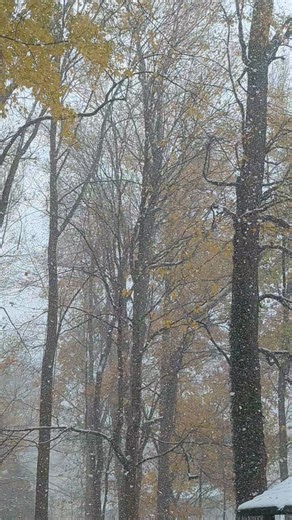 7K views · 189 reactions | ❄️ I love lake effect snow ❄️ | Jenn Harcher, Meteorologist | Facebook