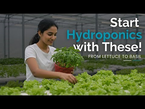 Hydroponic Crop Guide for Beginners | Grow Lettuce to Basil Easily!