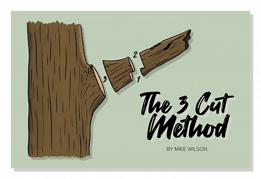 Russell Tree Experts — The 3 Cut Method