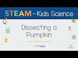 New Horizon Academy Kids STEAM Science Dissecting a Pumpkin