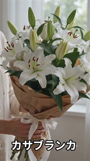 【カサブランカ】気品あふれる白百合の花言葉｜特別な日の贈り物に優雅に咲くカサブランカ。人生の節目を彩る「カサブランカ」の魅力#カサブランカ #百合 #花言葉 #花束 #贈り物