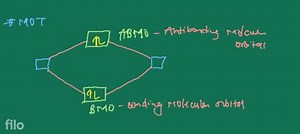 explain LCAO concept and draw the mode for CN- ion and calculat... | Filo