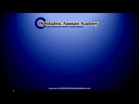 What is an Ophthalmic Assistant?