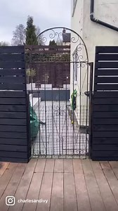 Give your garden the luxury upgrade it deserves with our stunning Aspen and Linea slatted fence screens, available in 4 stunning colours ✨ Let your outdoor space blossom this springtime and beyond. The perfect style for your space is waiting on-site. | Charles & Ivy