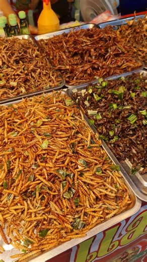 exotic food in Bangkok