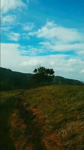 🌬️ Powerful Monsoon Winds on the Welimada Plateau | Beautiful Sri Lanka Nature 🇱🇰