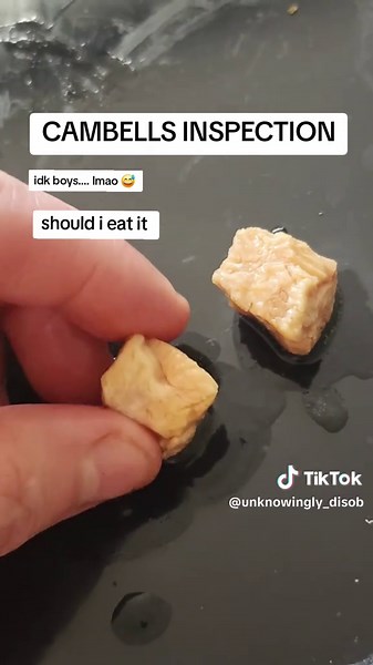 #cambells #fyp #scam #fakefood #foodtok | campbells soup