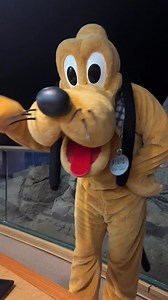 3.9K views · 252 reactions | #Pluto at #GardenGrill when he saw my daughter’s #nsync shirt #waltdisneyworld #epcot #characterdining #joeyfatone #fblifestyle #disneyover50 | DisneyOver50 | Facebook