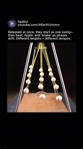 Pendulum Wave: Ten Synchronized Swings Make Moving Patterns #pendulum #science #shorts