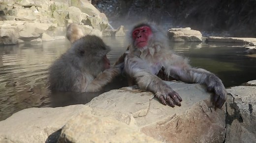 Things to do in Nozawa Onsen