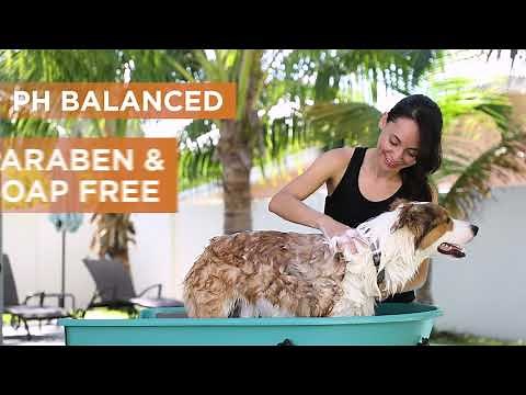 Veterinary Formula Antiseptic and Antifungal Medicated Shampoo