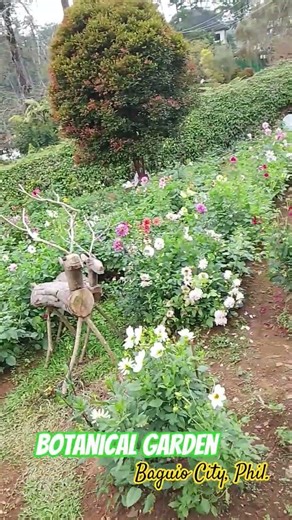 Visiting the Botanical Garden in Baguio City, Philippines