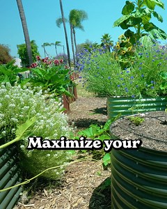 4.4K views · 634 reactions | Epic Gardening metal raised beds give you better drainage, richer soil, without splintering or warping—so you can focus on growing, not replacing beds every few years. Today, you can get 4 raised beds for the price of 3! Set yourself up for huge, reliable harvests with Epic Gardening. | Epic Gardening | Facebook