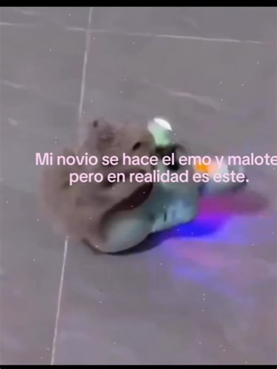 Understanding My Boyfriend's Playful Personality