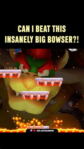 SELJUZ on Instagram: "Bowser FINAL BOSS fight from New Super Mario Bros #supermario #mario #gaming"