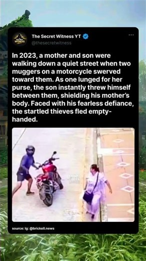 The Son Who Became a Shield Against a Purse Snatcher