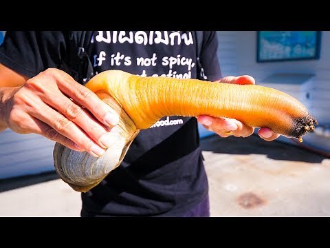 Eating a GIANT GEODUCK in Washington! | Exotic Seafood!