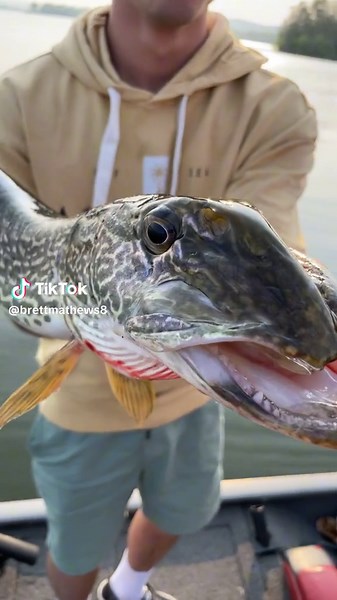 Spruce run creepys #nature #catchandrelease #USA #pondhopboys #fishing